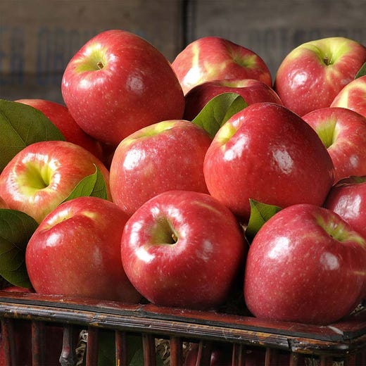 Red Delicious (1 bushel approximately 40 pound box)